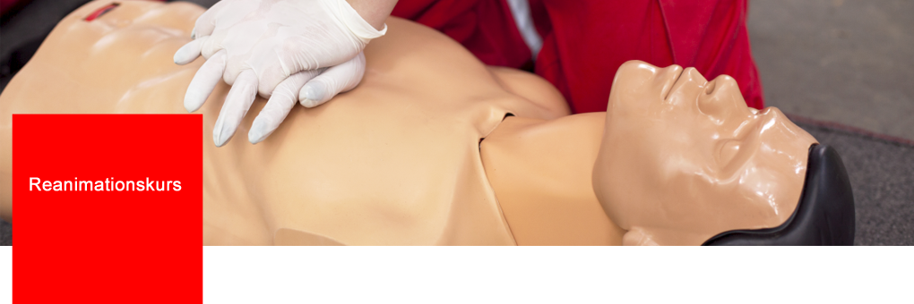 BLS-AED-SRC / Reanimationskurs BLS-AED-SRC / Reanimationskurs